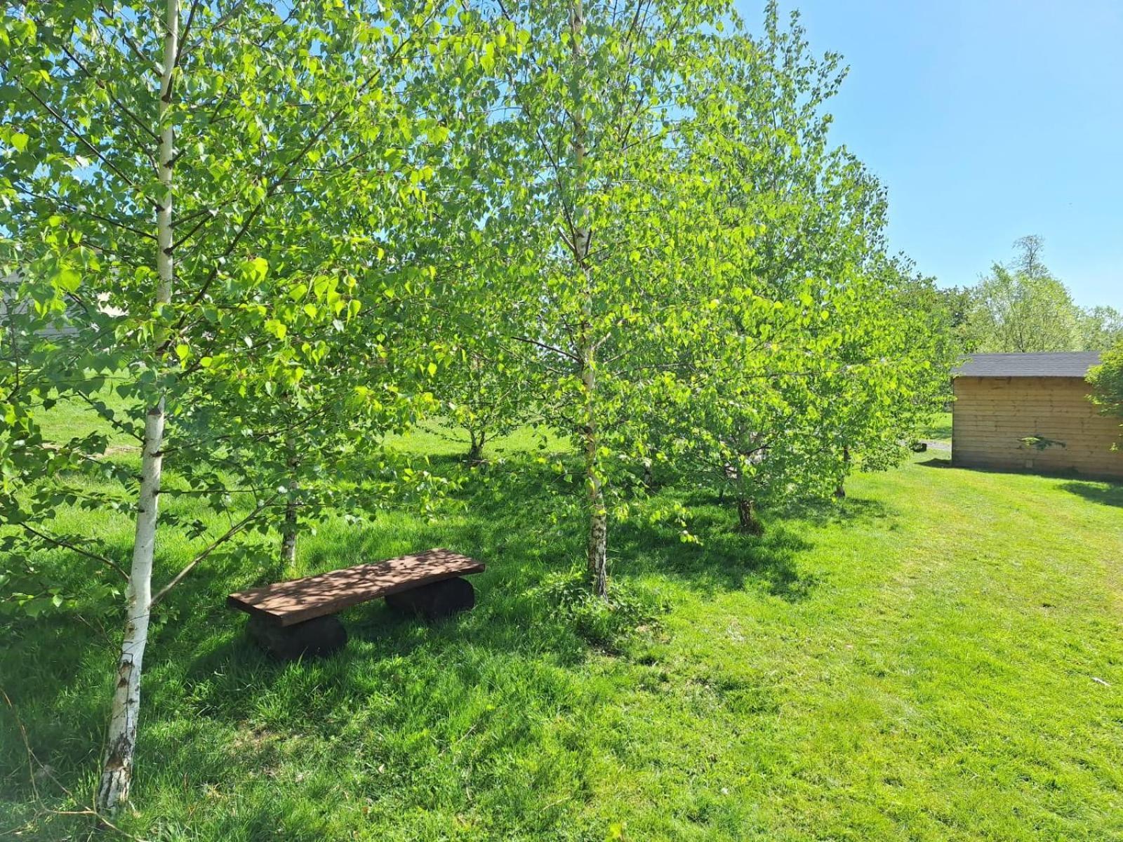 Domek W Gorach Izerskich 4 I 6 Osobowy, Agroturystyka, Zywe Zwierzeta, W Pelni Wyposazone, Plac Zabaw Dla Dzieci, Ognisko Z Kijkami I Rusztem, Ogrzewanie I Klimatyzacja, Latem Basen Mirsk Extérieur photo